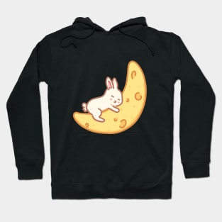 Bunny sleeping on a moon Hoodie